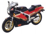 1987_RG500WW_snright_450.jpg