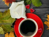 Screenshot_20200228-152704_Google.jpg