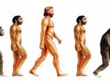 evolution_cycle-1024x398.jpg