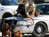 Cop and suspect forced to get along because of random aggressive pitbulls.jpeg