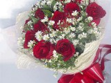 Red_roses_aster_bq.JPG