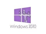 windows 2020.jpg