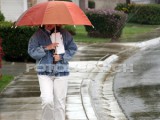 walking-umbrella-rain_~u14045614.jpg