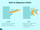 how-to-measure-your-penis-size-906786-01-b72520cfadbf462f999fc6e6db1948e5.png