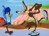 Coyot Vs Roadrunner.jpg