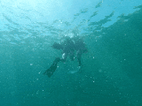 20200827_165015.gif