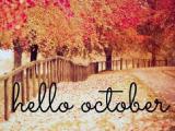 d2cff780d0d69a1642747fee9e94fb06--hello-october-september.jpg