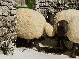 30efda269040a071-stop-motion-animation-gif-by-aardman-animations-find.gif