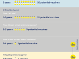 vaccine development.png