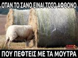 20170415_almirofistiki_plenty-of-hay.jpg