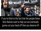 no-democracy-we-want-just-islam-if-youre-blind-to-13641340.png