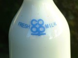 Bottle-of-milk_web.jpg