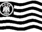 paokflag.gif