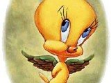 tweety19.jpg