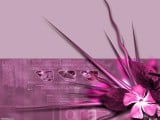 Flora,_Pink_3D_Theme1600_1200.jpg