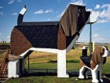 dog-hotel84654.jpg