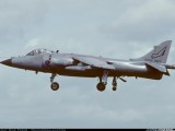 sea Harrier.jpg