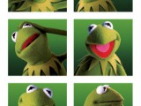 PP30865-EU~Kermit-Boxes-Posters.jpg