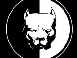 pit_bull_logo.jpg