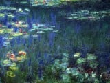 water lilies-green 1916.jpg