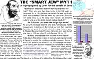 smart_jew_myth.jpg