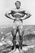 arnold-schwarzenegg4.gif