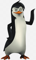 png-clipart-penguin-madagascar-animation-penguins-animals-bird.png