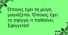 αρχείο λήψης.png