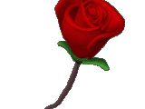 rose_heart-1807.gif