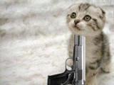 cat_and_gun.jpg