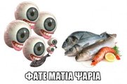 fate-matia-psaria-500x333.jpg