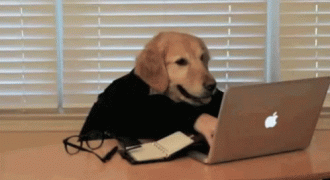 dog-laptop.gif