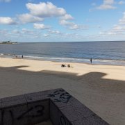 IMG_20220501_150146.jpg