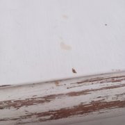 IMG_20220430_153105.jpg