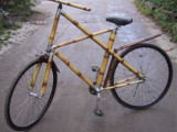 BambooBicycle.jpg