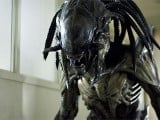 alien-predator-hybrid.jpg