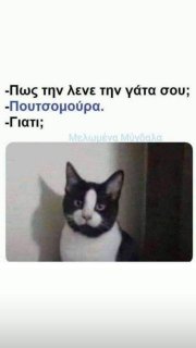 gati.jpg