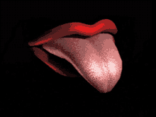 tease-tongue.gif