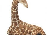 giraffe-statue.jpg