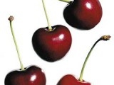 large4cherries.jpg