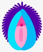 128-1283666_these-are-the-very-best-vagina-emoji-for.jpg