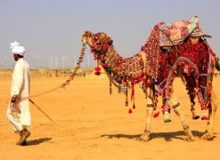 jaisalmer-desert-safari-6_1438939406.jpg