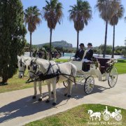 wedding_carriage_ámaxa_gia_gámo_nyfikí_ámaxa_gámos_me_ámaxa_limouzína_gia_gámo_gamília_ámaxa_w...jpg