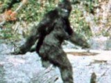 bigfoot1.jpg