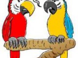 parrot_cartoon-174x264.jpg