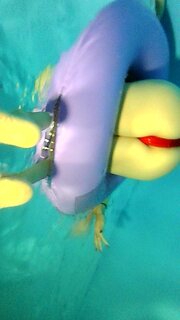 Image_2025-04-12 14_10_52_933.jpg