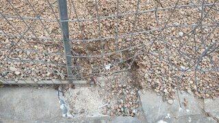 IMG_20250413_190739.jpg