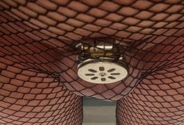 IMG_7729.jpeg