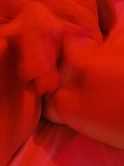 IMG_20250428_182351.jpg