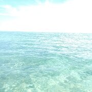 IMG_20250409_101946.jpg